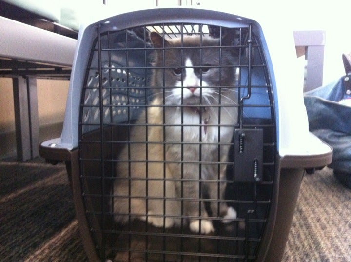 Photo credit: yellowpages