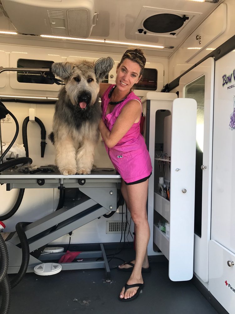 Bow Wow Barber Mobile Dog Grm Stamford