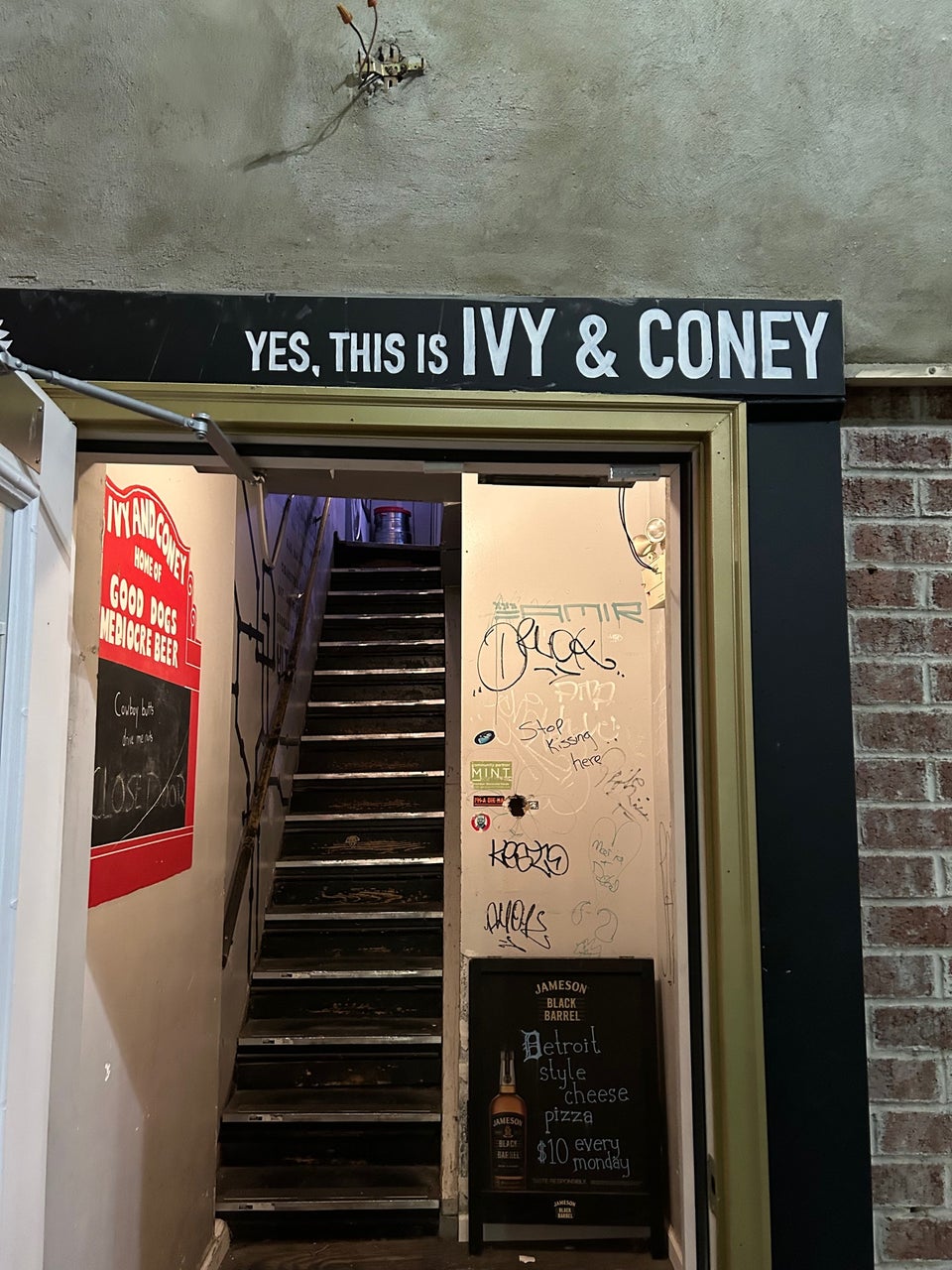 Ivy and Coney