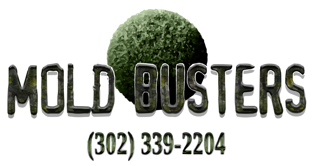 Mold Busters LLC Harbeson Delaware 