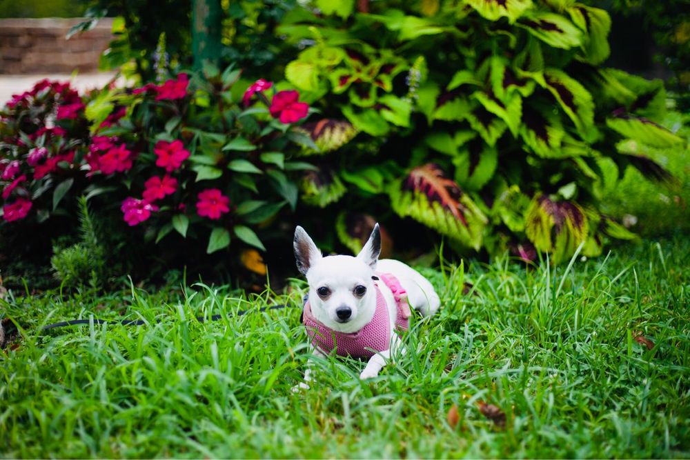 Photo credit: 
