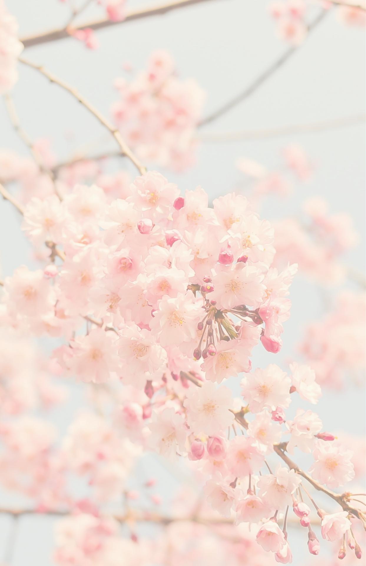 Photo credit: 