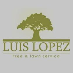 Luis Lopez Tree and Lawn Service
