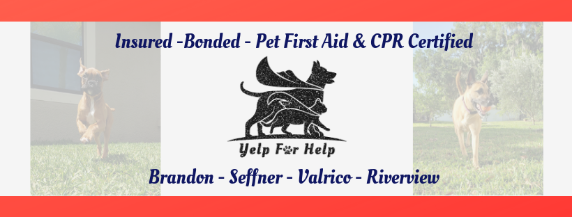 Yelp For Help, LLC. Brandon