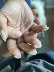 Serenity Nails & Hair Spa