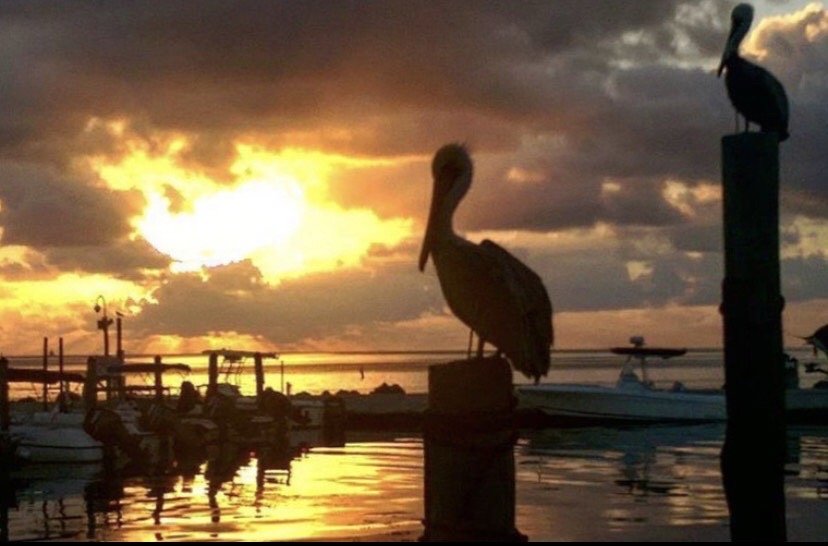 Photo credit: 