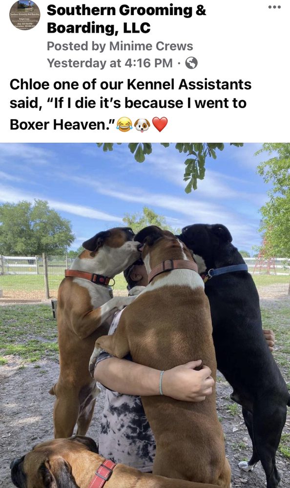 Photo credit: 