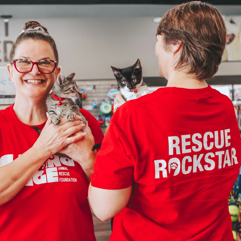 Pet Facilities in Delray Beach, Florida Pet Stores, Grooming, Pet