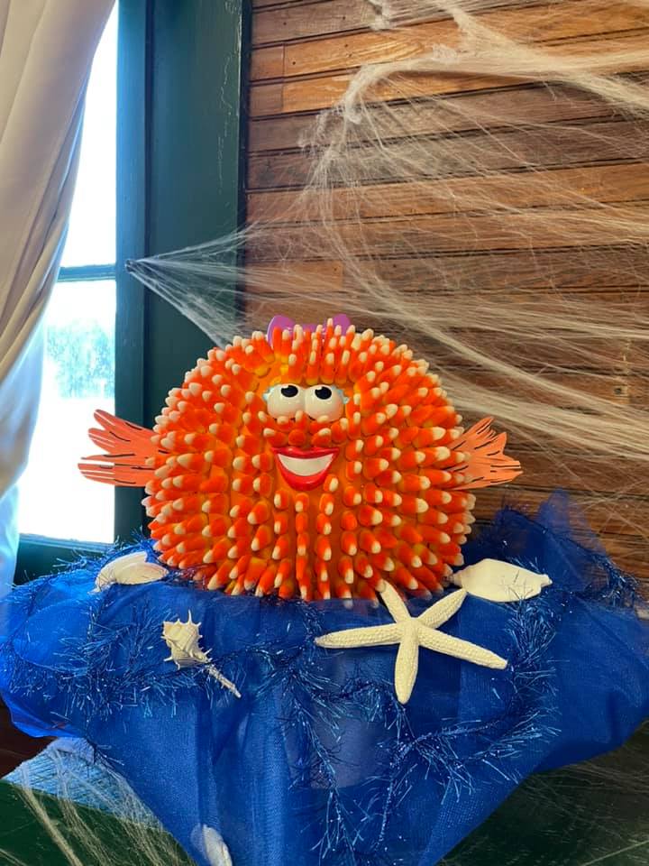 Shelton Veterinary Clinic: Congdon Lavonne DVM Elkton