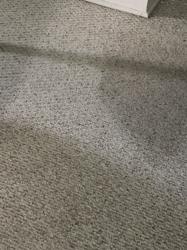 Sean's Carpet & Upholstery Cleaning