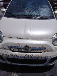 Bubbles Auto Wash