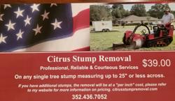 Citrus Stump Removal