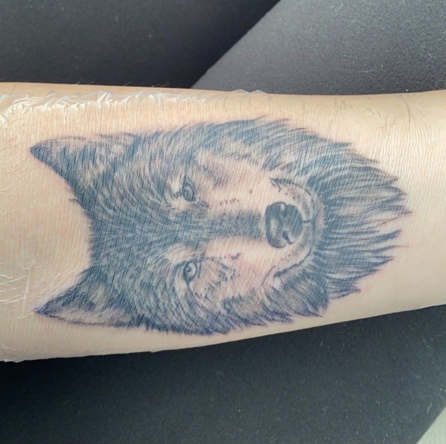 Photo credit: 