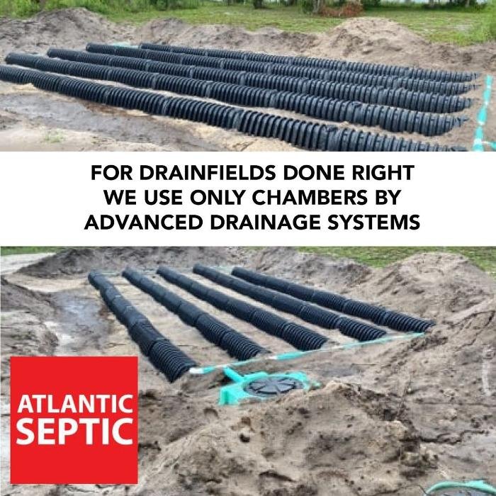 Photo credit: 