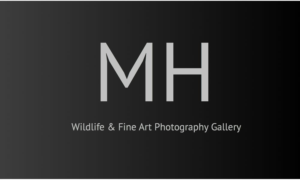 Marc Harris Wildlife & Fine Art Conservation Photography