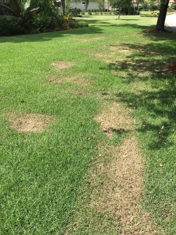 Photo credit: 