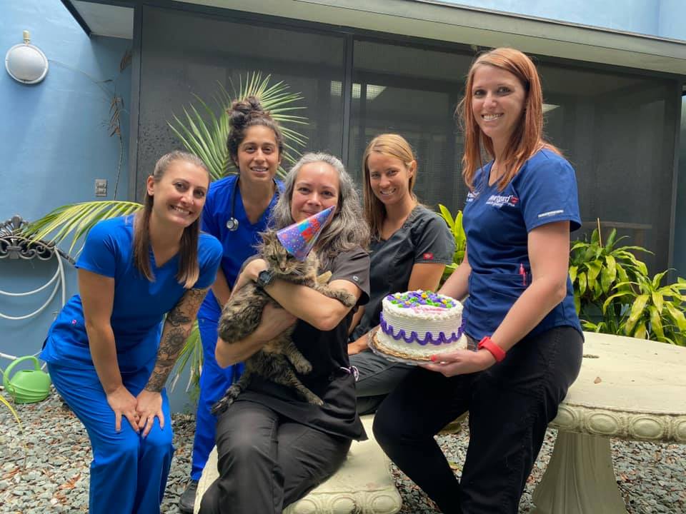 St Johns Veterinary Clinic: Wihbey Jeanine DVM St. Augustine