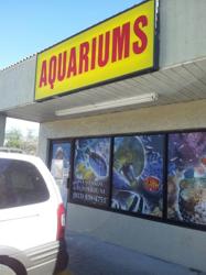 Westside Aquarium & Pets
