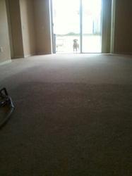 Magic Touch Carpet Cleaning of Tampa
