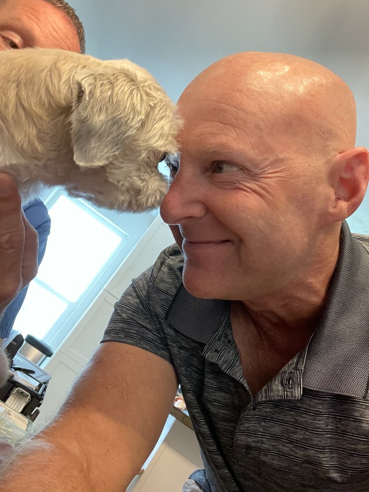 All About Town Pet House Calls West Palm Beach