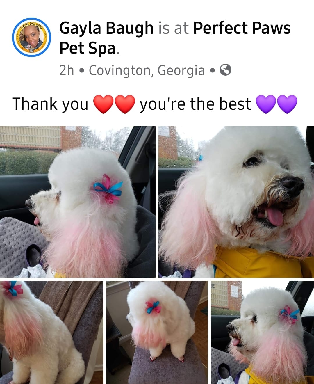 Photo credit: facebook