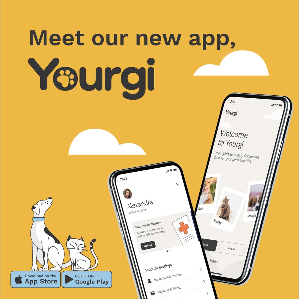 Jonesboro Animal Hospital: Rudd Anne D DVM Jonesboro