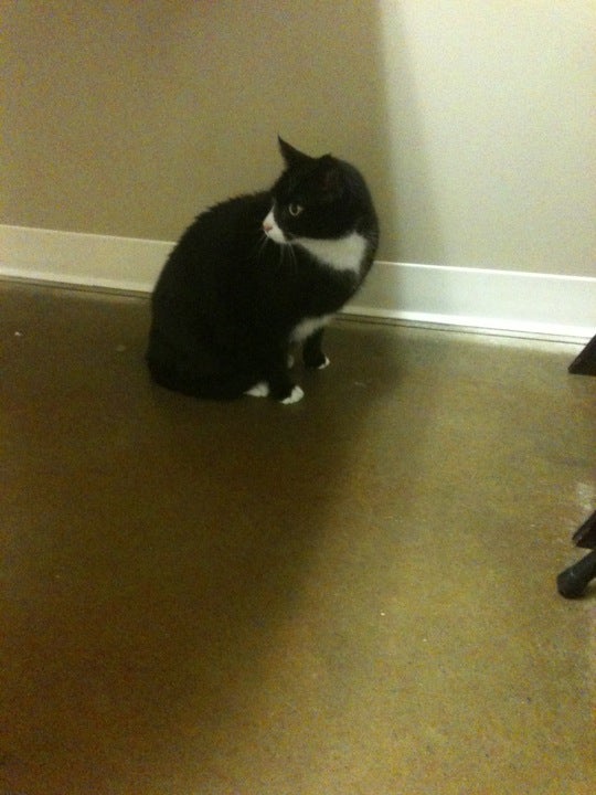 Photo credit: yellowpages