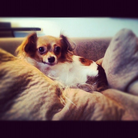 Photo credit: yellowpages