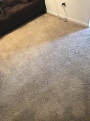 upholstery carpet care