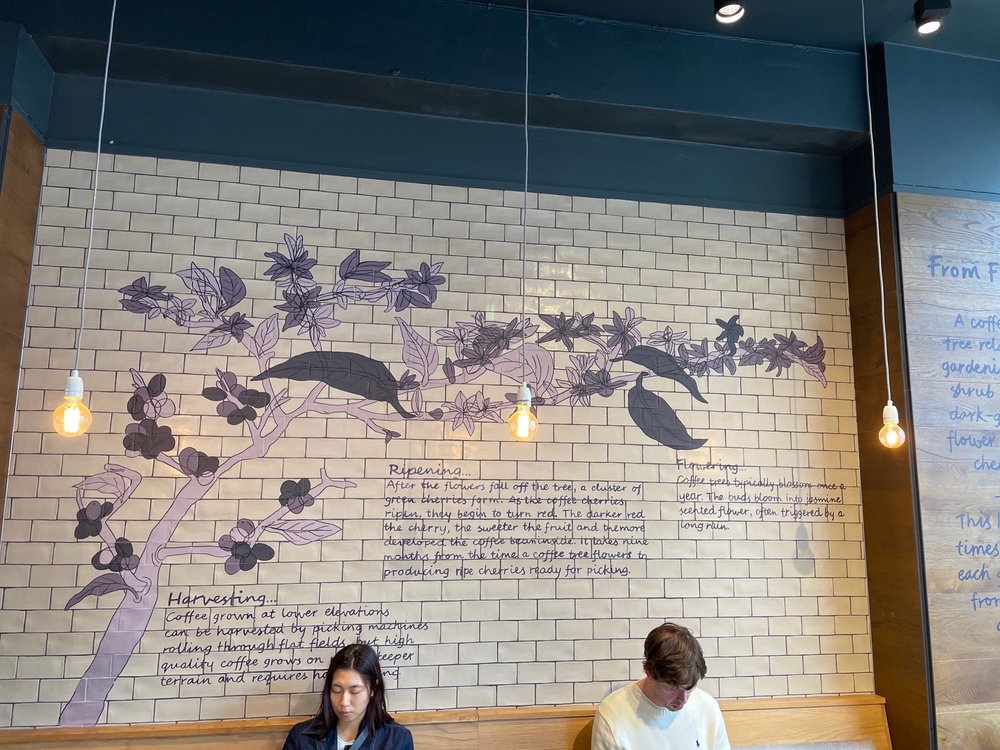 Photo credit: Yelp