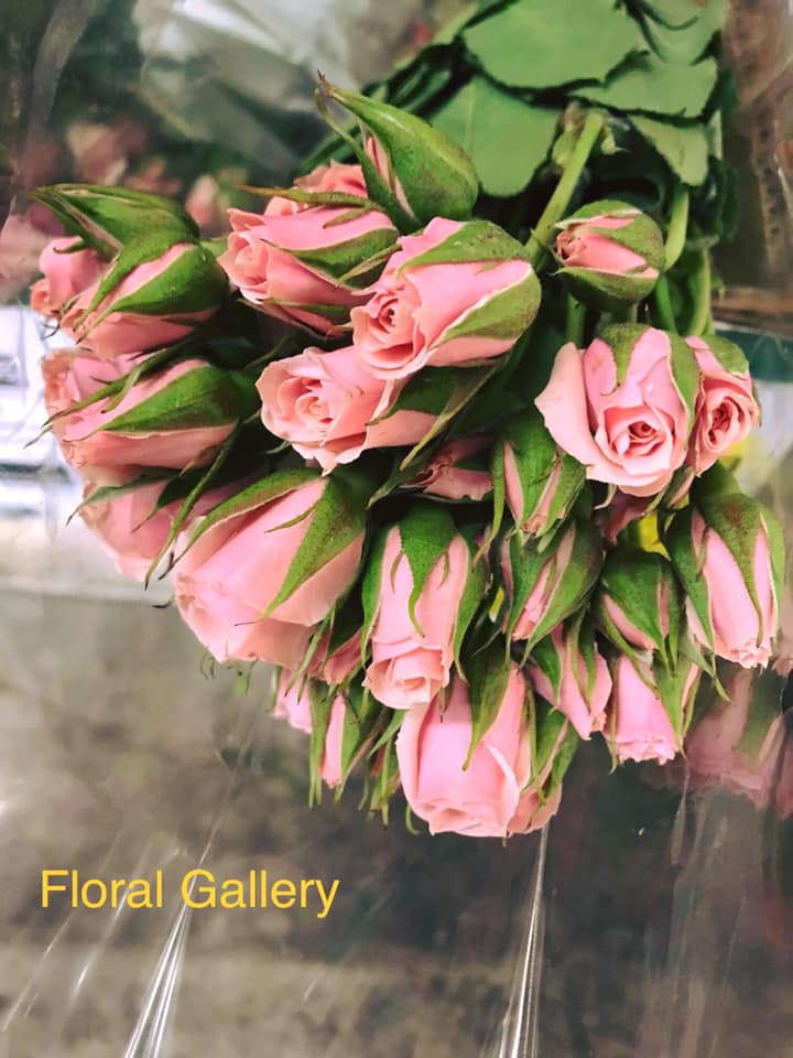 Floral Gallery 208 Main St, Columbus Junction Iowa 52738