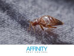 Affinity Pest Control
