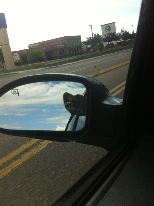 Photo credit: yellowpages