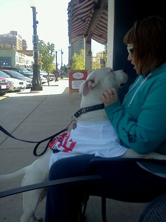 Photo credit: yellowpages