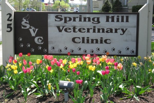 Spring Hill Veterinary Clinic: Redeker-Goelit Erin DVM 25 N Western Ave, Carpentersville Illinois 60110