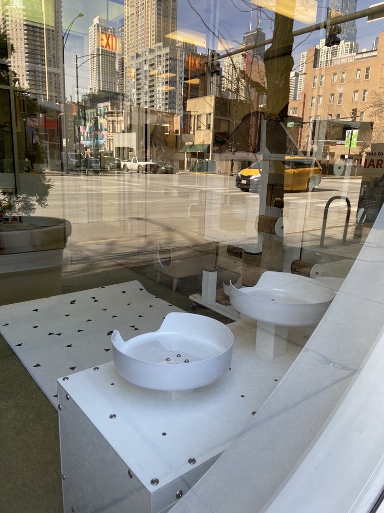 The Anti-Cruelty Society Chicago