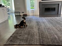 Premier Oriental Rug Cleaning Chicago