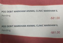 Markham Animal Clinic Ltd: Tinio Maritess DVM