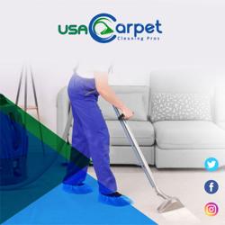 USA Carpet Cleaning Pros - South Suburbs