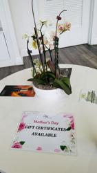 Heavenly Massage & Spa