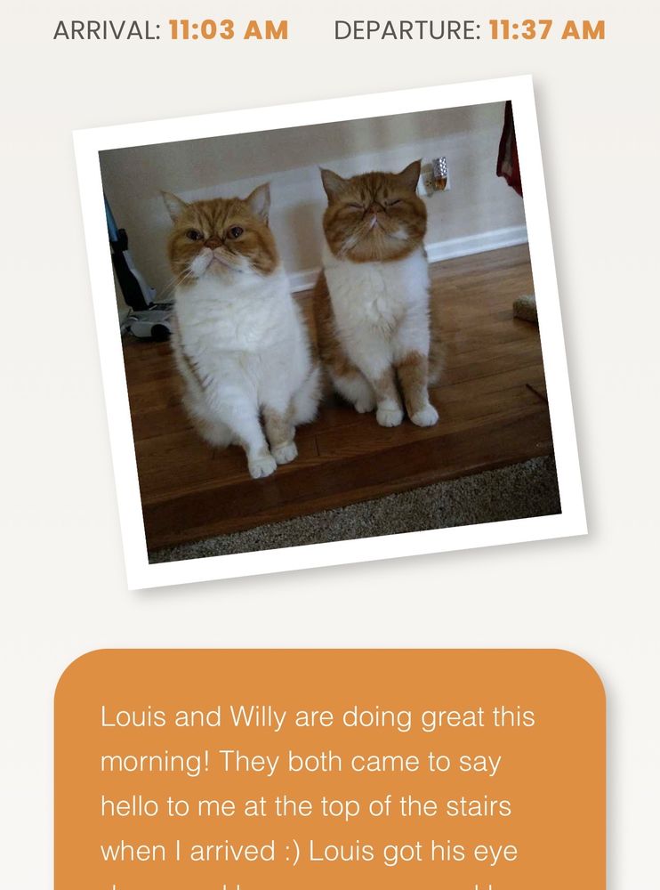 Out-U-Go! Pet Care Services, Inc. Naperville