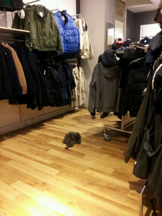 Photo credit: yellowpages