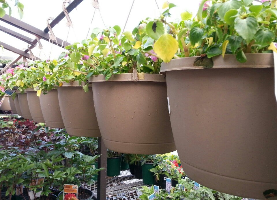 Photo credit: yellowpages