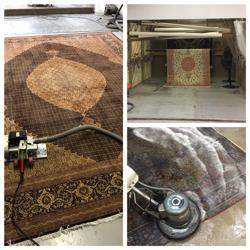 Monarch Rug & Carpet Cleaners | Local Carpet Cleaning Service