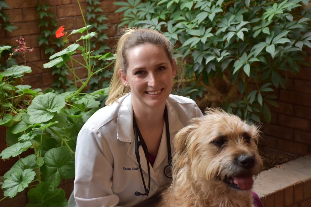 Kirk Evan DVM Springfield