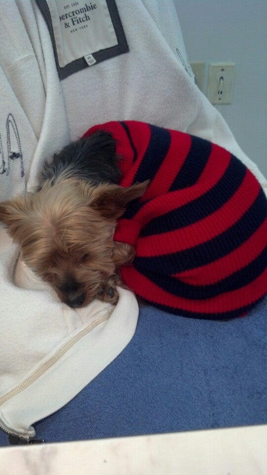 Photo credit: yellowpages