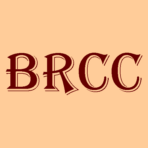 Bright Ray Carpet Cleaning Inc