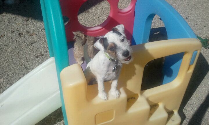 Photo credit: yellowpages