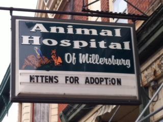 Animal Hospital of Millersburg 101 Thomason St, Millersburg Kentucky 40348