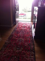Blue Grass Carpet Cleaning